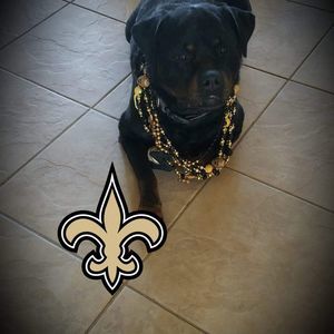 Meet your Posher, Rodell